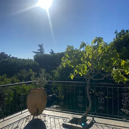 La Casa Degli Avocado *